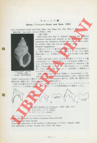 TIBA R. - KOSUGE S. - - Genus Clinopegma Grant and Gale, 1931. (Occasional Publications).