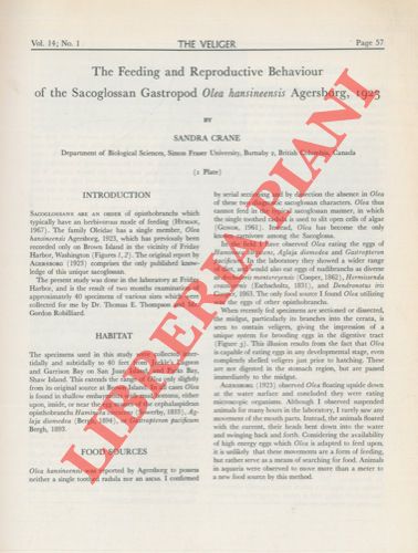 CRANE Sandra - - The feeding and reproductive behaviour of the sacoglossan gastropod Olea hansineensis Agersborg, 1923.
