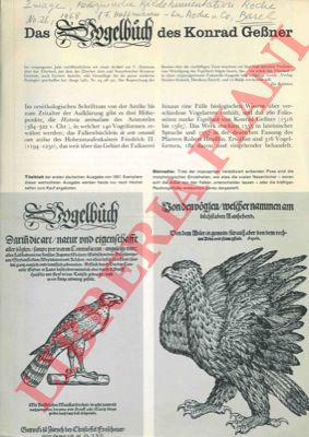- - Das Vogelbuch des Konrad Gessner.