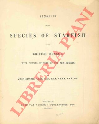 GRAY John Edward - - Synopsis of the species of starfish in the British Museum (with figures of some of the new species).