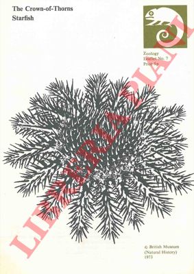 - - The Crown-of-Thorns. Starfish.
