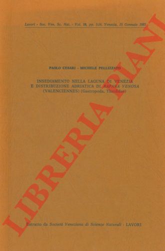 CESARI Paolo - PELLIZZATO Michele - - Insediamento nella Laguna di Venezia e distribuzione adriatica di Rapana venosa (Valenciennes) (Gastropoda, Thaididade).