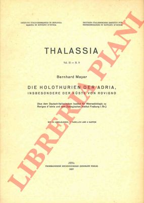 MAYER Bernhard - - Die Holoturien der Adria, insbesondere der kuste von Rovigno.