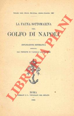 COLOMBO A. - - La fauna sottomarina del Golfo di Napoli. Esplorazione sistematica.