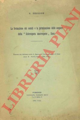 PEGLION V. - - La formazione dei conidi e la germinazione delle oospore della 
