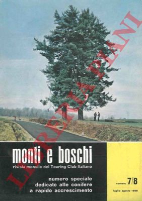 - - Conifere a rapido accrescimento.