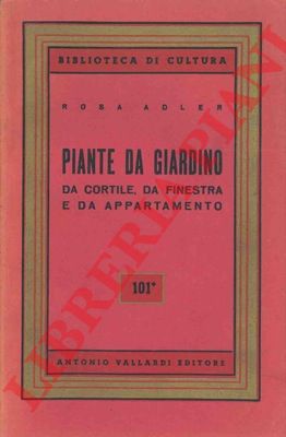 ADLER Rosa - - Piante da giardino, da cortile, da finestra e da appartamento.