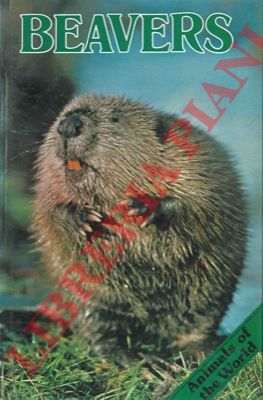 CLARKSON Ewan - - Beavers