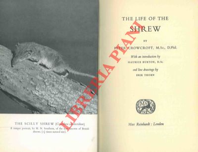 CROWCROFT Peter - - The life of the shrew.