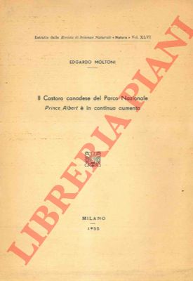 MOLTONI E. - - Il Castoro canadese del Parco Nazionale 'Prince Albert'  in continuo aumento.