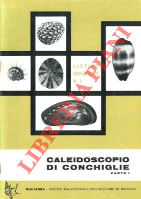 Malachia - - Listino conchiglie n 7. Caleidoscopio di conchiglie. Parte I
