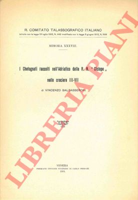 BALDASSERONI Vincenzo - - I Chetognati raccolto nell'Adriatico dalla R.N. 