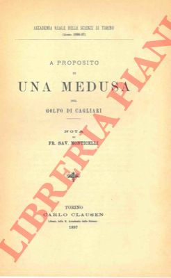 MONTICELLI Francesco Saverio - - A proposito di una medusa del Golfo di Cagliari.