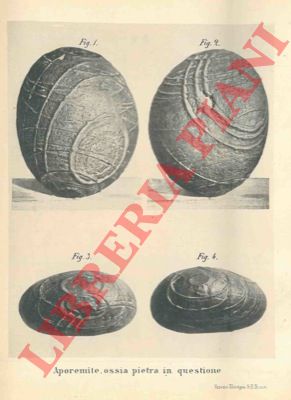 NARDO Giandomenico - - Sopra una pietra di origine e di provenienza incerte. Aporemite di speciale caratteristica mineralogica, la quale si sottomette al giudizio dei geologi e dei minerologi, descritta e fotografata.