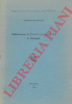 BRANDOLINI Alfredo - - Nidificazione di Glareola pratincola (L.) in Romagna.