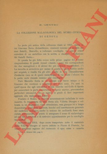 GESTRO R. - - La collezione malacologica del Museo Civico di Genova.