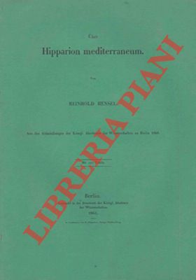 HENSEL Reinhold - - Uber Hipparion mediterraneum.