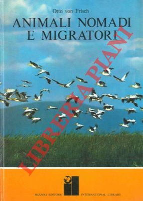 FRISCH Otto von - - Animali nomadi migratori.