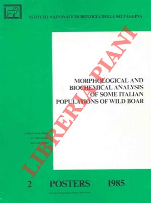 APOLLONIO M. - RANDI E. - TOSO S. - - Morphological and biochemical analysis of some italian populations of wild boar.