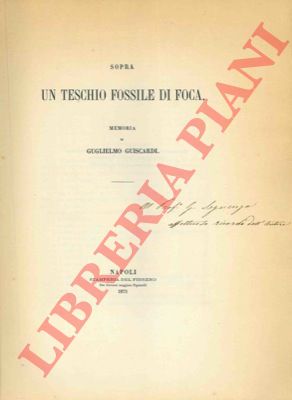 GUISCARDI Guglielmo - - Sopra un teschio fossile di foca.