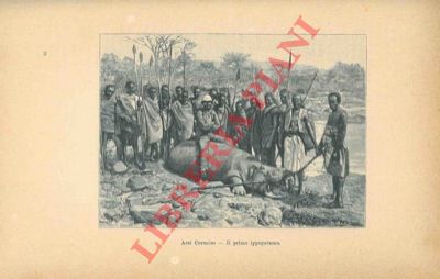 BOTTEGO Vittorio - - L'esplorazione del Giuba. Viaggio di scoperta nel cuore dell'Africa.