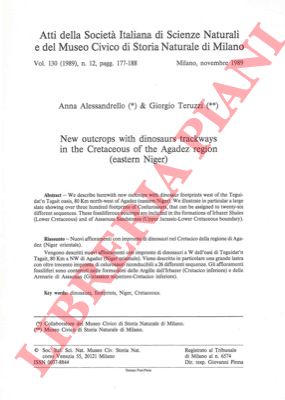 ALESSANDRELLO Anna - TERUZZI Giorgio - - New outcrops with dinosaurs trackways in the Cretaceous of the Agadez region (Eastern Niger).