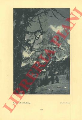 SCHATZ Jos. Jul. - - Le meraviglie delle Alpi. Ediz. italiana tradotta e curata da Antonio Locatelli.