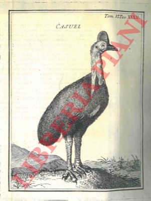 MERY, ecc. - - Descrizione anatomica d'uno smergo. Descrizione anatomica d'un casuel. Osservazioni sopra la pelle del pellicano. Sopra le penne degli uccelli.