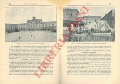 STRAFFORELLO Gustavo - - Provincia di Livorno. Circondario di Livorno.