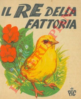 - - Le mille e una notte.