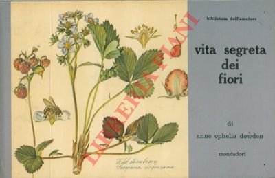 DOWDEN Anne Ophelia - - Vita segreta dei fiori.