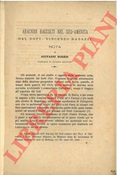 BOERIS Giovanni - - Aracnidi raccolti nel sud-america dal dott. Vincenzo Ragazzi.