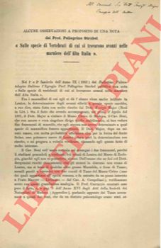 PICAGLIA L. - - Alcune osservazioni a proposito di una nota del prof. Pellegrino Strobel 