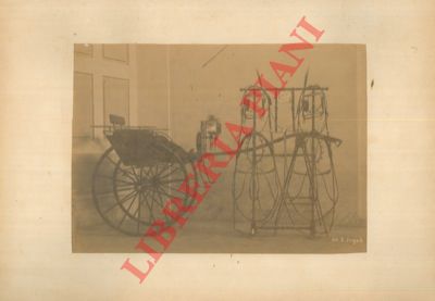 Societ d'Incoraggiamento per gli Artisti - - L'Esposizione triennale di Belle Arti ed Industrie nella provincia di Modena.