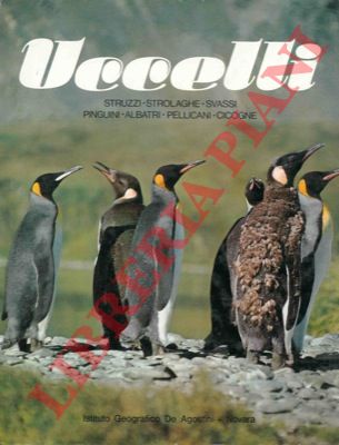 - - Uccelli. Struzzi Strolaghe Svassi Pinguini Albatri Pellicani Cicogne.