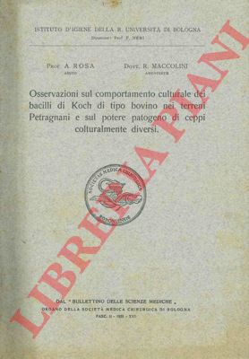 ROSA A. - MACCOLINI R. - - Osservazioni sul comportamento culturale dei bacilli di Koch di tipo bovino nei terreni Petragnani e sul potere patogeno di ceppi colturalmente diversi.