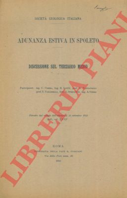 AA. VV. - - Discussione sul terziario medio.