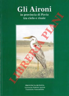 - - Gli Aironi in provincia di Pavia tra cielo e risaie.