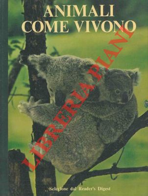 - - Animali come vivono.