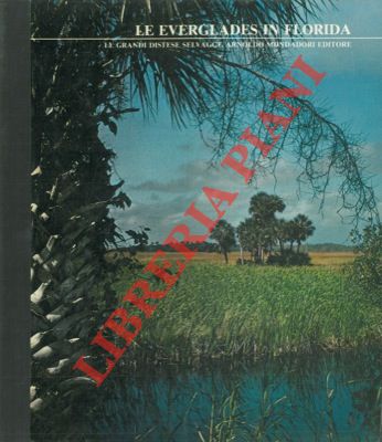 - - Le Everglades in Florida. Le grandi distese selvagge.