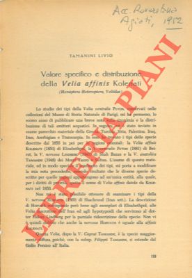TAMANINI Livio - - Valore specifico e distribuzione della Velia affinis kolenati (Hemiptera heteroptera, veliidae).