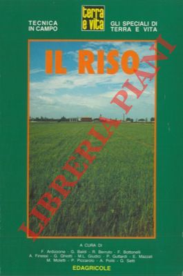 AA. VV. - - Il riso.