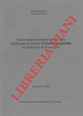 CASTELLUCCI Ciro - LA PIETRA Bruno - - Osservazioni preliminari su una nidificazione stabile di corvo imperiale in provincia di Frosinone (dicembre 1990).