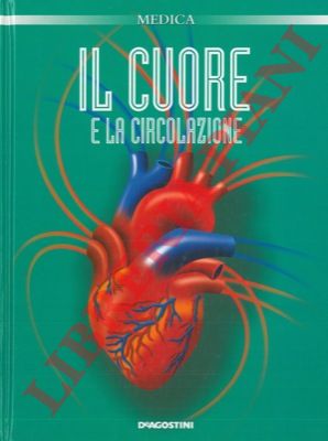 - - Il cuore e la circolazione.