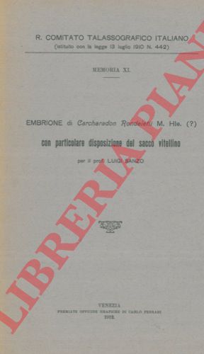 SANZO Luigi - - Embrione di Carcharadon rondeletii M. Hle. (?) con particolare disposizione del sacco vitellino.