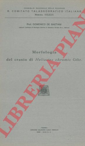 DE GAETANI Domenico - - Morfologia del cranio di Heliastes chromis Gthr.