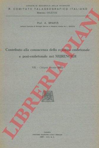 SPARTA' (Antonio) - - Contributo alla conoscenza dello sviluppo embrionale e post-embrionale nei Murenoidi. VII. Chlopsis bicolor (Raf.)