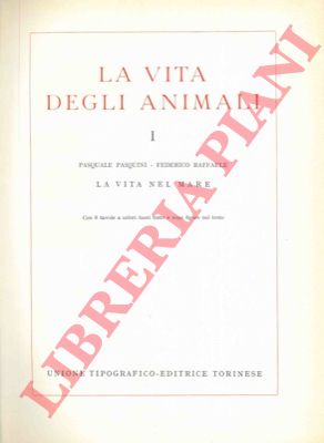 PASQUINI Pasquale - RAFFAELE Federico - - La vita degli animali. 1. La vita nel mare.