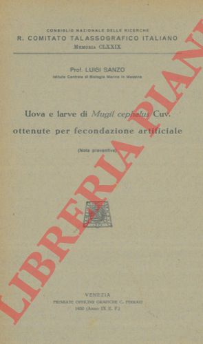 SANZO Luigi - - Uova e larve di Mugil cephalus Cuv. ottenute per fecondazione artificiale.
