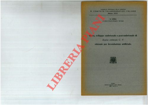 CIPRIA Giacomo - - Uova, sviluppo embrionale e post-embrionale di Scarus cretensis C.V. ottenute per fecondazione artificiale.